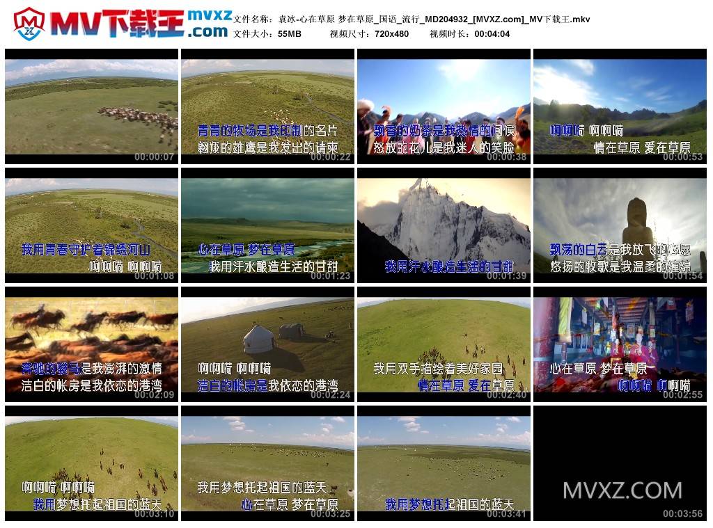 袁冰-心在草原 梦在草原_国语_流行_MD204932